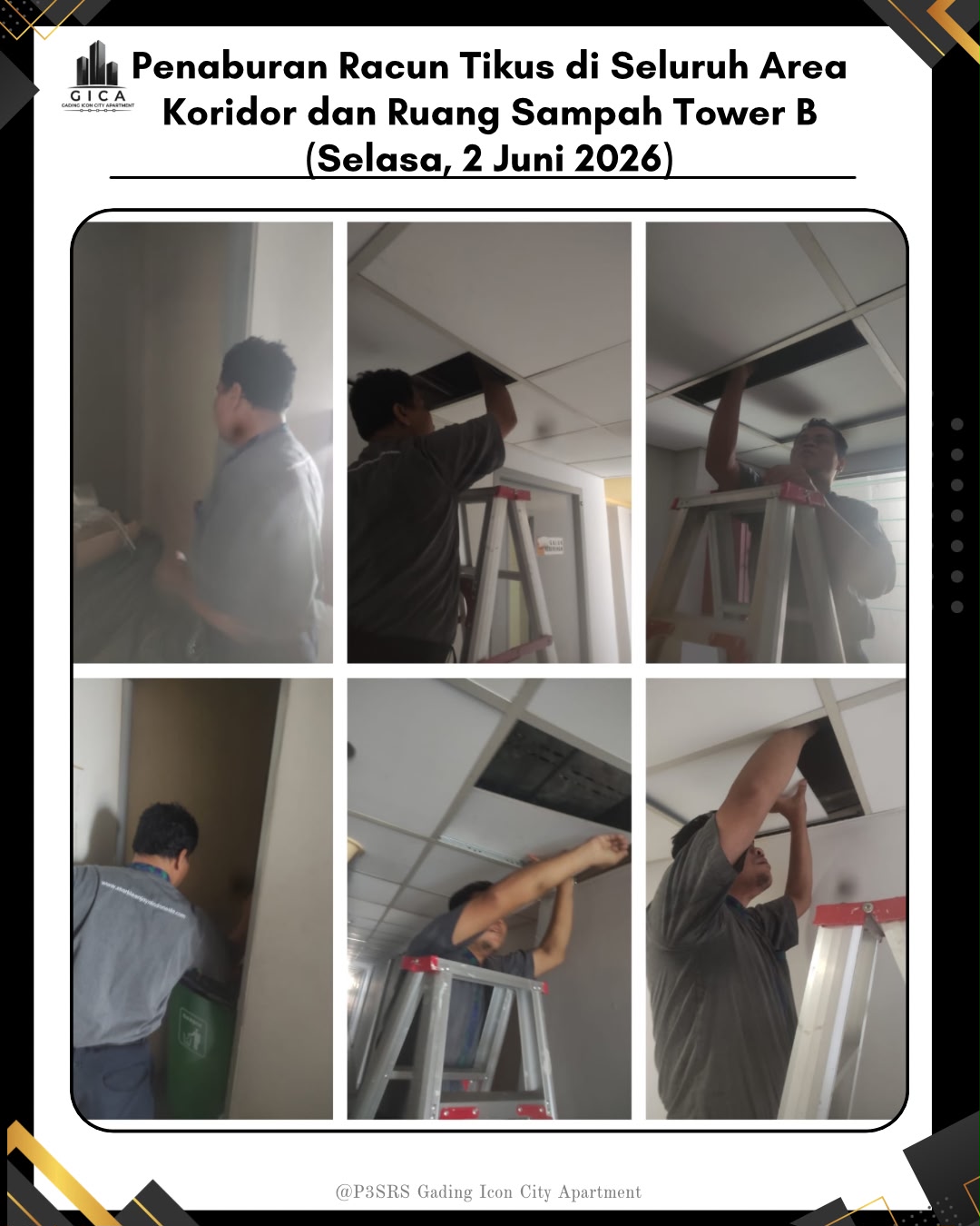WhatsApp Image 2026-06-12 at 08.45.06 (3)